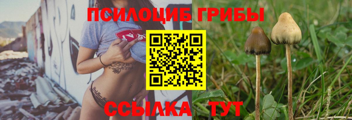 Асбест  Галлюциногенные грибы MAGIC MUSHROOMS  хочу   Вход с VPN 